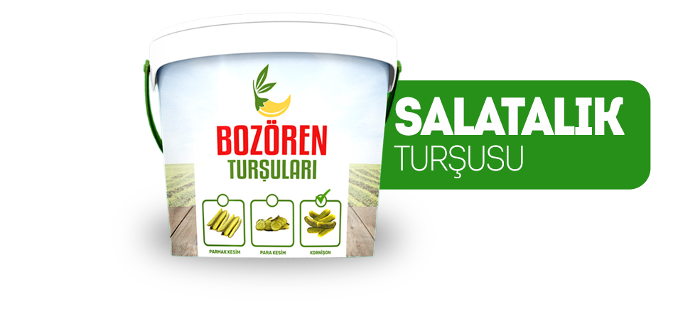 salatalik-tursusu-slide